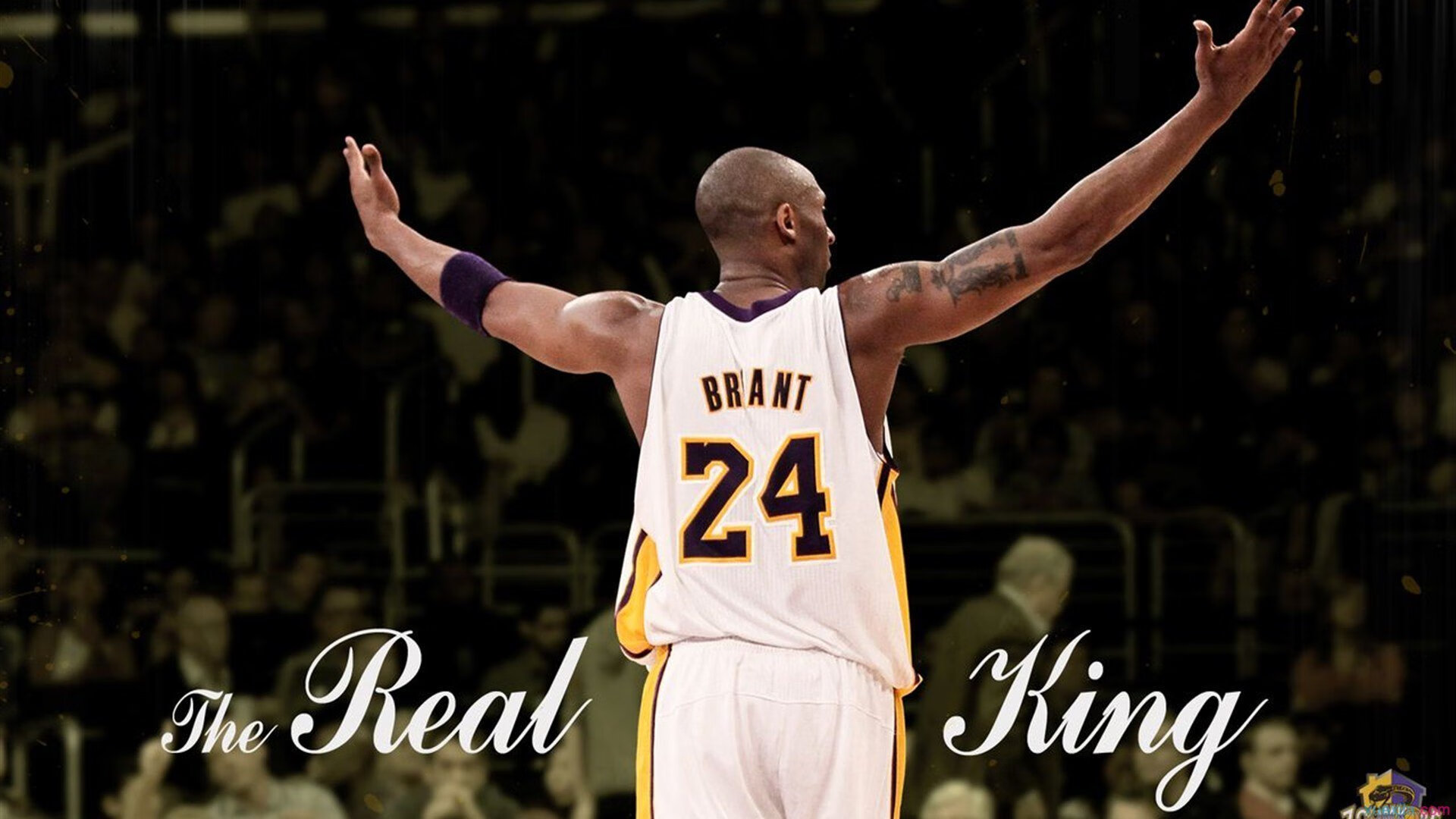 开云体育官网-零封圣西罗！奥纳纳里程碑之夜，他用双拳击碎豪门攻势